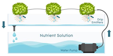 Drip Systems How They Work Agrowtronics Iiot For Growing