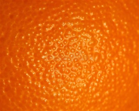 Orange Peel Macro Stock Image Image Of Healthy Bright 83868941