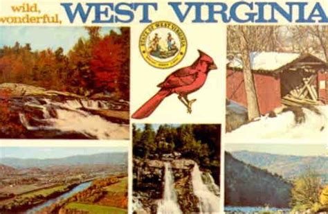 Wild Wonderful West Virginia Global Postcard Sales