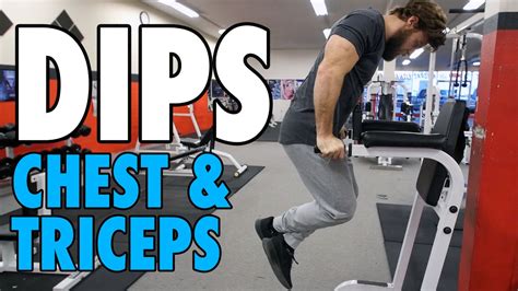 Dips Chest And Triceps How To Exercise Tutorial Youtube