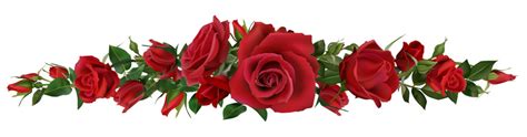 Red Roses Border Clipart