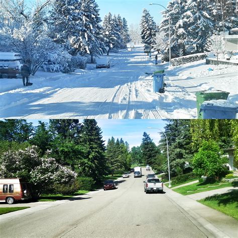 Same Street First Day Of Winter Vs First Day Of Summer Canada Rpics