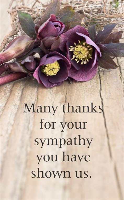 Thanks so much for taking the time to send a card and for sharing your story. Healing Quotes on Losing Someone to Help You Feel Lighter ...