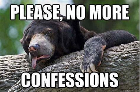 35 of the best confession bear meme pictures that will make you want to share