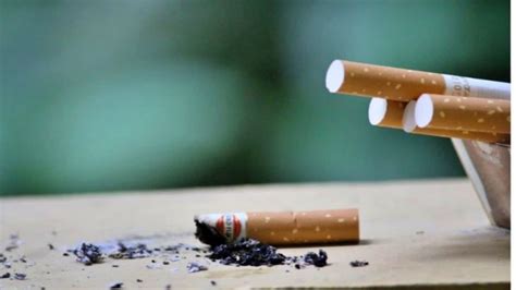 canada to become 1st country to put health warnings on individual cigarettes canada to become
