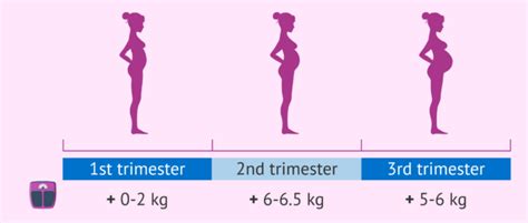 how much weight should i gain during pregnancy recommendations