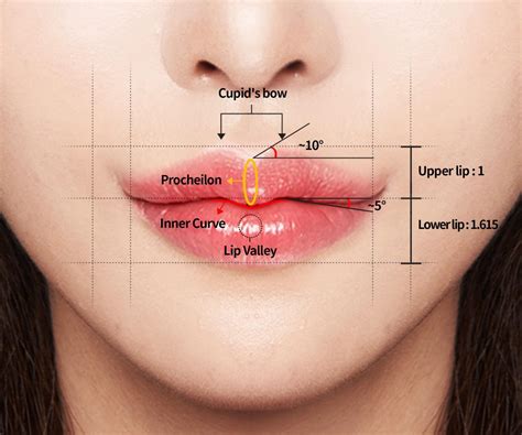 Cupid S Bow Surgery Secret To Korean Lips Hyundai Aesthetics Blog