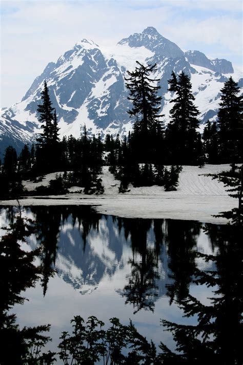 Mount Baker Orvalrochefort Flickr