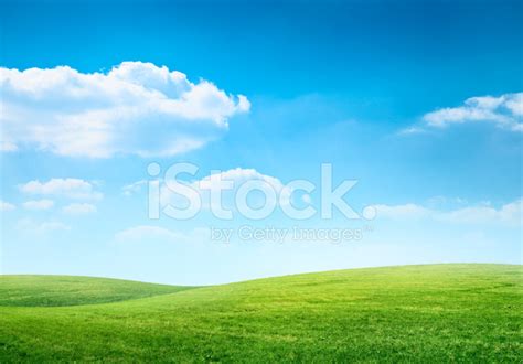 Digital Composition Of Green Meadow And Blue Sky Stock Photo Royalty