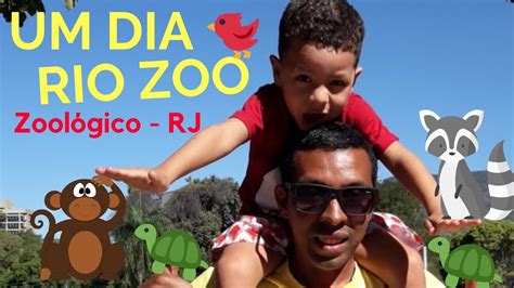 Rio Zoo Zoológico Do Rio De Janeiro Youtube
