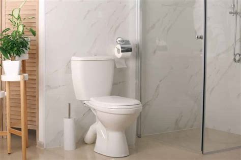 Best 16 Toilets With The Largest Size Trapway Toilet Haven