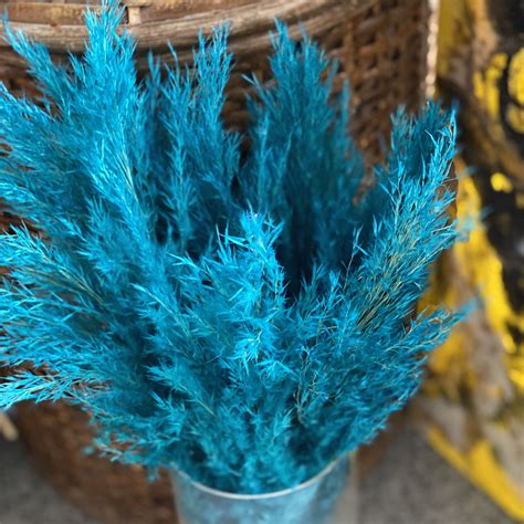 Dried Pampas Grass Wedding Dried Flower Everlasting Flowers Blue Pampas