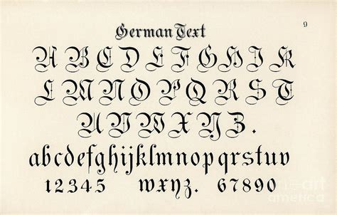 German Style Calligraphy Fonts From Draughtsmans Alphabets By Hermann