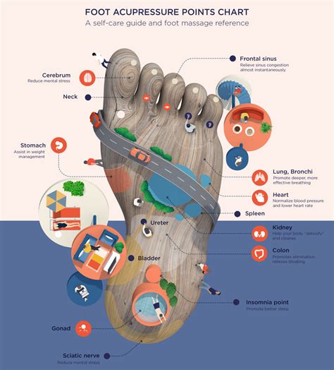 Foot Acupressure Points Chart A Self Care And Foot Massage Reference