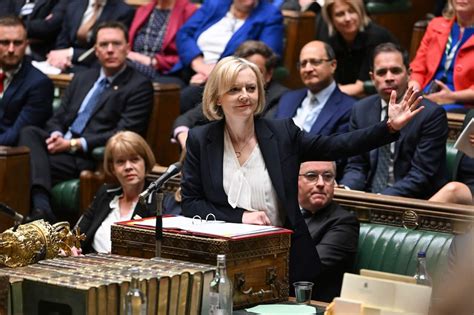 This Lettuce With A Wig Outlasted Uk Prime Minister Liz Truss Sbs News