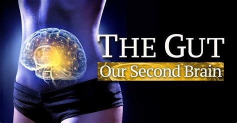 The Gut Our Second Brain Guarda Streaming Online