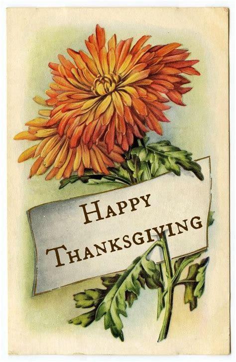 Flower Happy Thanksgiving Quote Pictures, Photos, and Images for