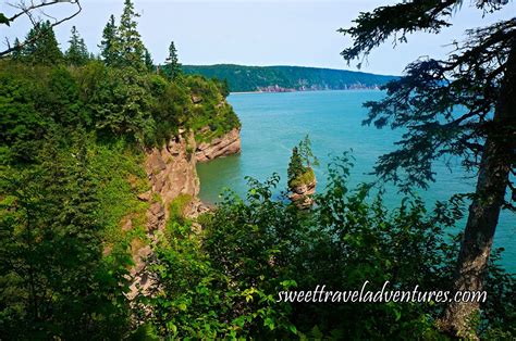 Discovering Unique Nature Parks In New Brunswick Sweet Travel Adventures