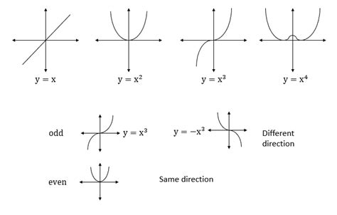 Parent Functions Pre Calculus Relations And Functions Askrose
