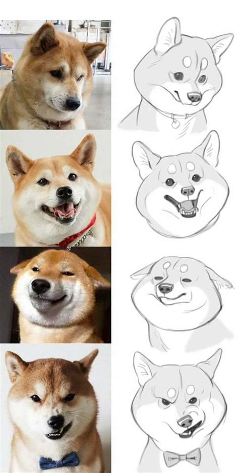 How To Draw Doge Doge Know Your Meme