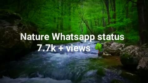Whatsapp Status For Nature Youtube