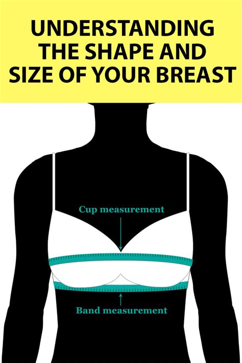 Understanding The Shape And Size Of Your Breast