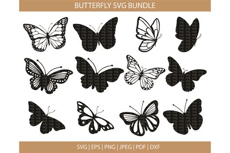 Butterfly Svg Butterfly Svg Files Butterfly Cut Files Butterfly Svg