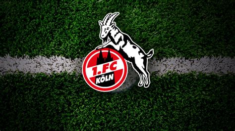 Fc köln zeigt, dass vielfalt eine bereicherung für den club, den fußball und die gesellschaft ist. 1. FC Köln - Schalke 04 - NetKompakt