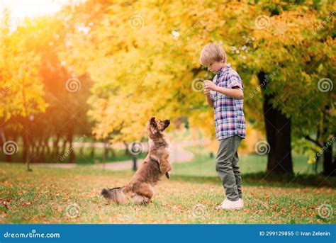 Cute Boy Playing And Walking With His Dog In A Meadow Stock Image