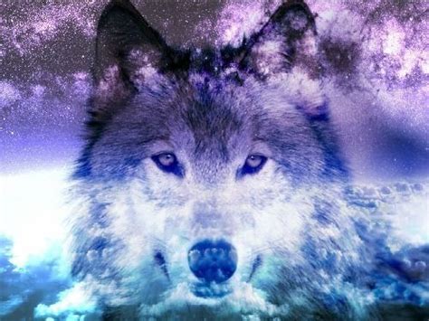 Wolf Spirits Prose By Carol Cavalaristwo Wolves Within A Dream Catcher