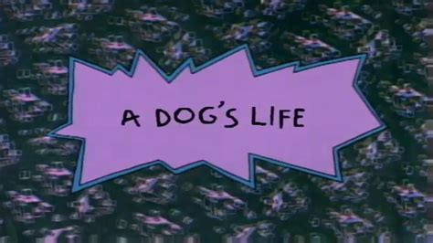 A Dogs Life Nicktoons In Daycare Wiki Fandom