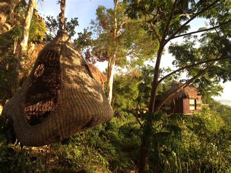 10 Dreamy Treehouse Hotels In The Philippines For A Magical Stay