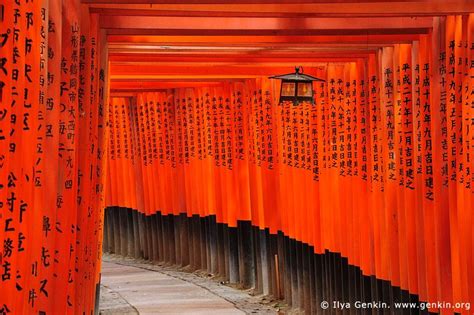Ten Thousands Of Red Torii Gates At Fushimi Inari Shrine Kyoto Kansai