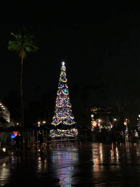 Hollywood Studios Christmas Tree At Night 🤩 Rdisneyworld