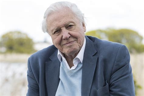Sir David Attenborough Returning With Blue Planet Ii On Bbc After