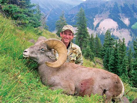 The Ultimate Hunter Pursuit Bighorn Sheep Mirr Ranch Group