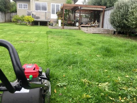 Lawn Mowing West Auckland | Express Lawn Mowing Services