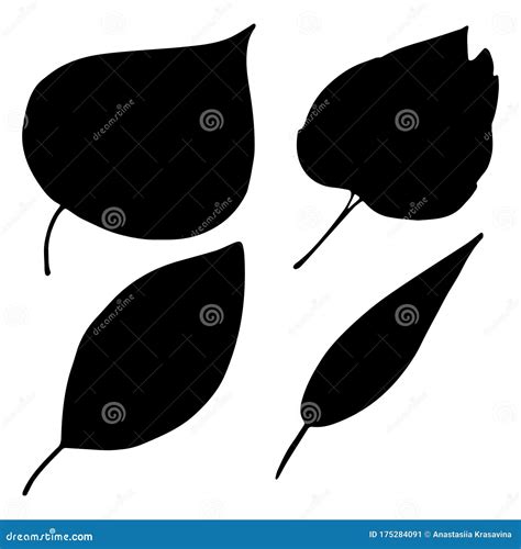 Set Of Simple Hand Drawn Doodles Birch Aspen Linden Willow Leaves