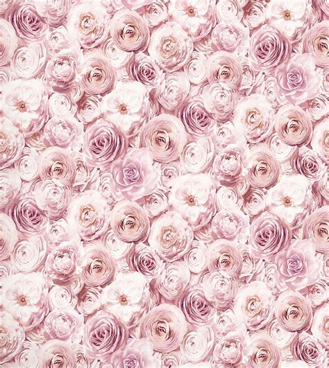 Arthouse Wild Rose Floral Wallpaper Blush Pink Petals