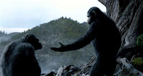 A growing nation of genetically evolved apes led by caesar is threatened by a band of human survivors of the devastating virus unleashed a decade earlier. Film Review : Dawn of the Planet of the Apes (2014 ...