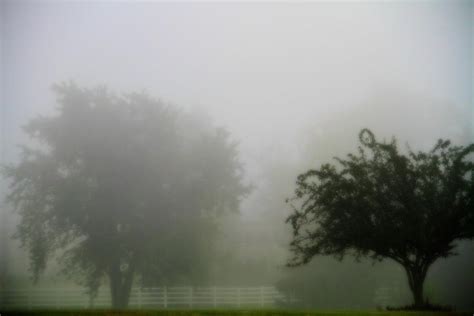 Foggy Country Landscape Photograph By Dan Sproul
