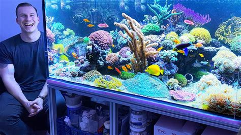 The Best Reef Tanks 2020 Review Saltwater Aquarium Coral Youtube