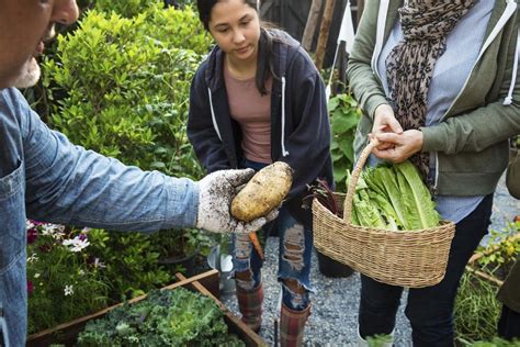 Group Of People Gardening Backyard Premium Photo Rawpixel