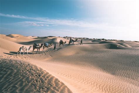 Désert De Tunisie Depuis Douz Quelle Excursion Dans Le Sahara Tunisien