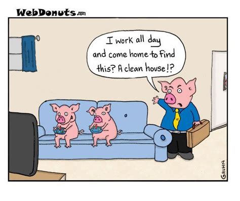 Image Result For Weekend Cleaning Funny Pig Pictures Funny Pictures