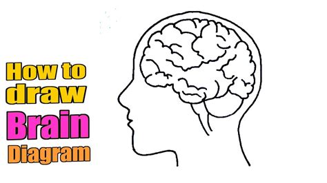 How To Draw Brain Diagram Easily Human Brain Easy Draw Tutorial