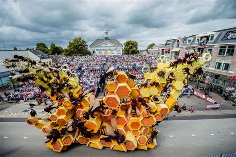 this festival of netherlands is a great treat to your eyes