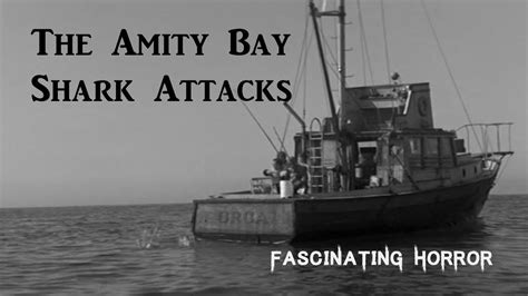The Amity Bay Shark Attacks A Short Documentary Fascinating