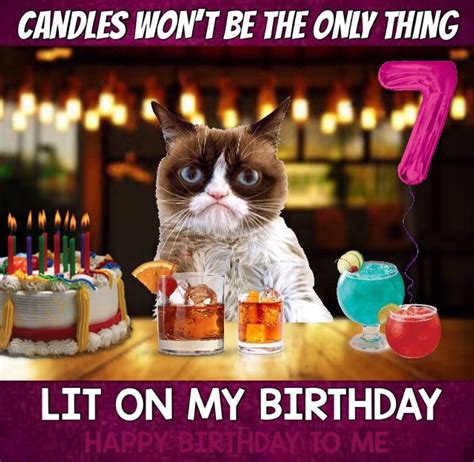Grumpy Cats Birthday 🎉 Grumpy Cat Birthday Grumpy Cat Grumpy Cat Humor