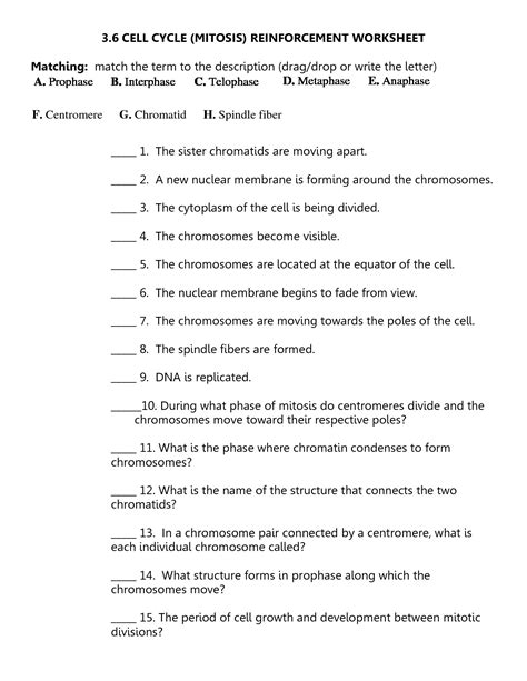 Answer key to the worksheet on mitosis in an onion root, labels the graphic and snurfle meiosis and genetics (html5) enter the virtual world of geniverse where you control the process of meiosis and fertilization in dragons. 18 Best Images of Cell Cycle Labeling Worksheet Answers - Cell Cycle Worksheet Answers, Cell ...